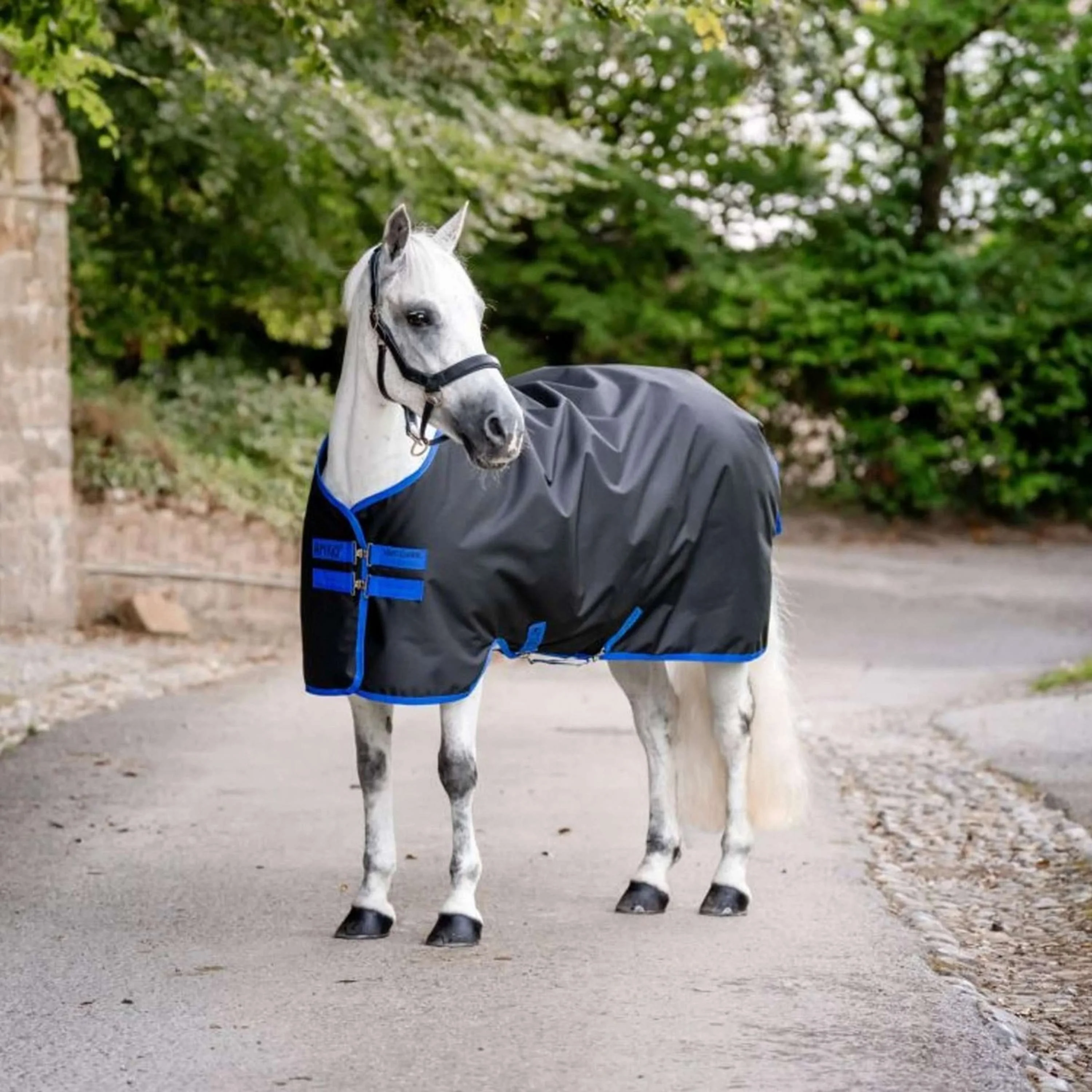 Productafbeelding 1