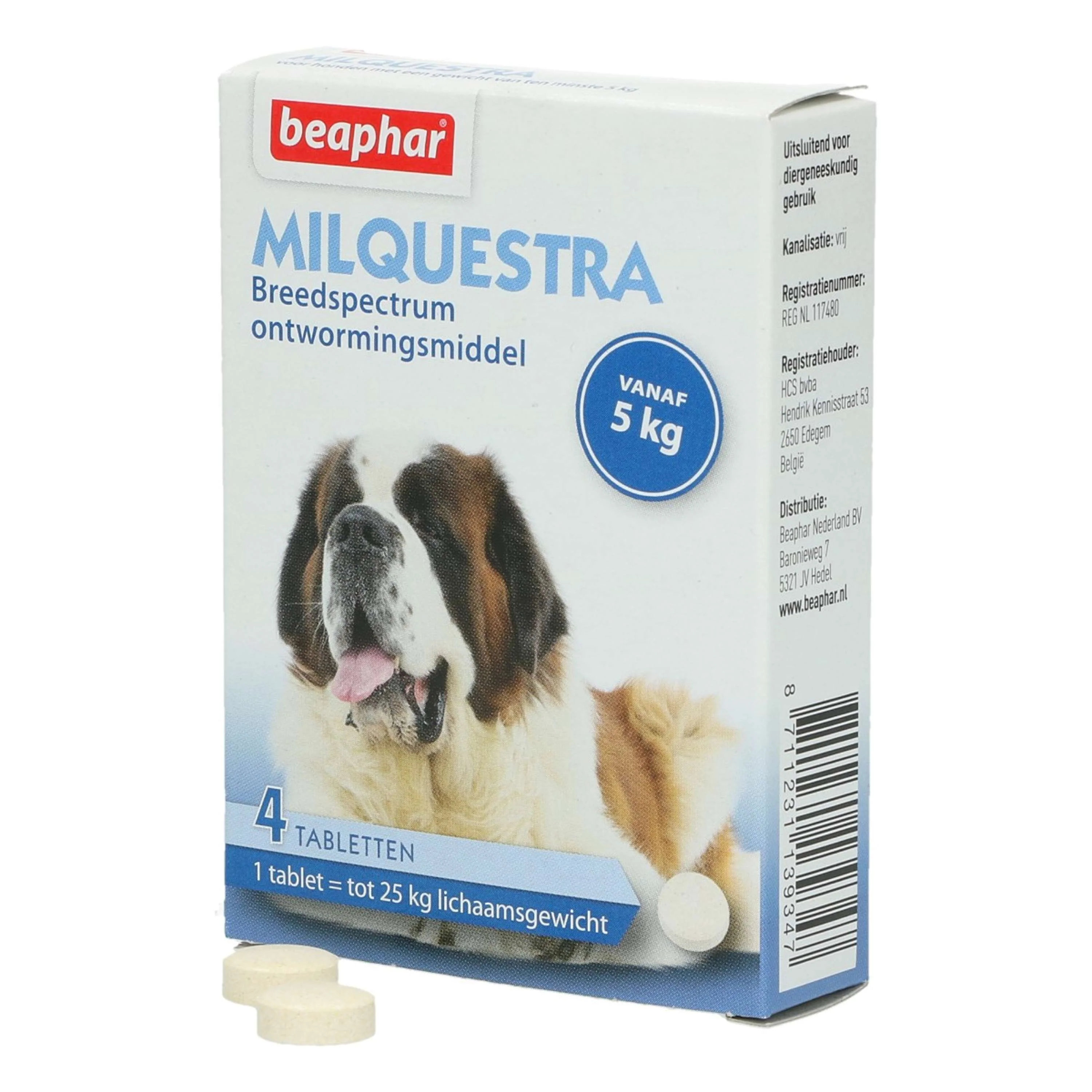 Miniatuur 2