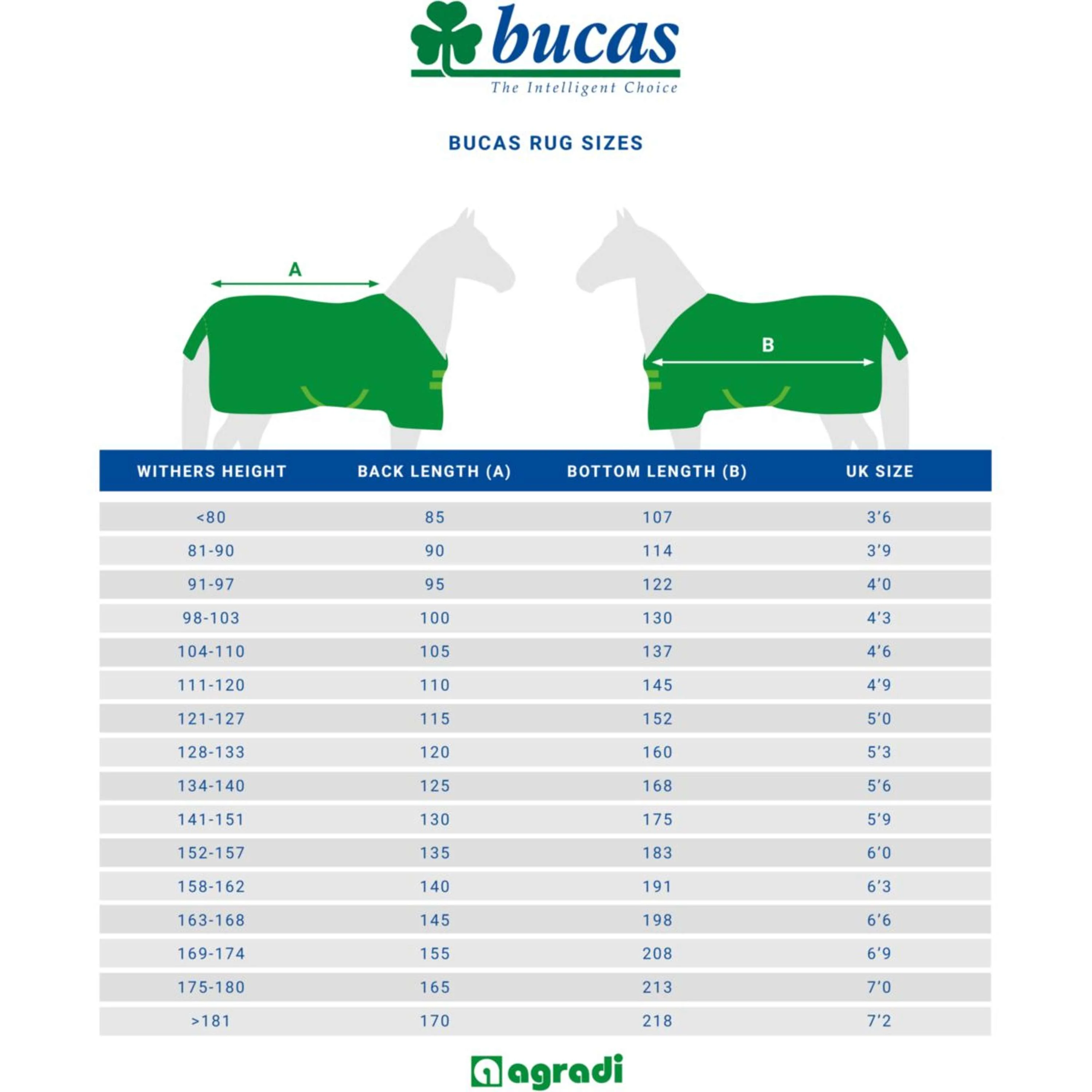 Miniatuur 3