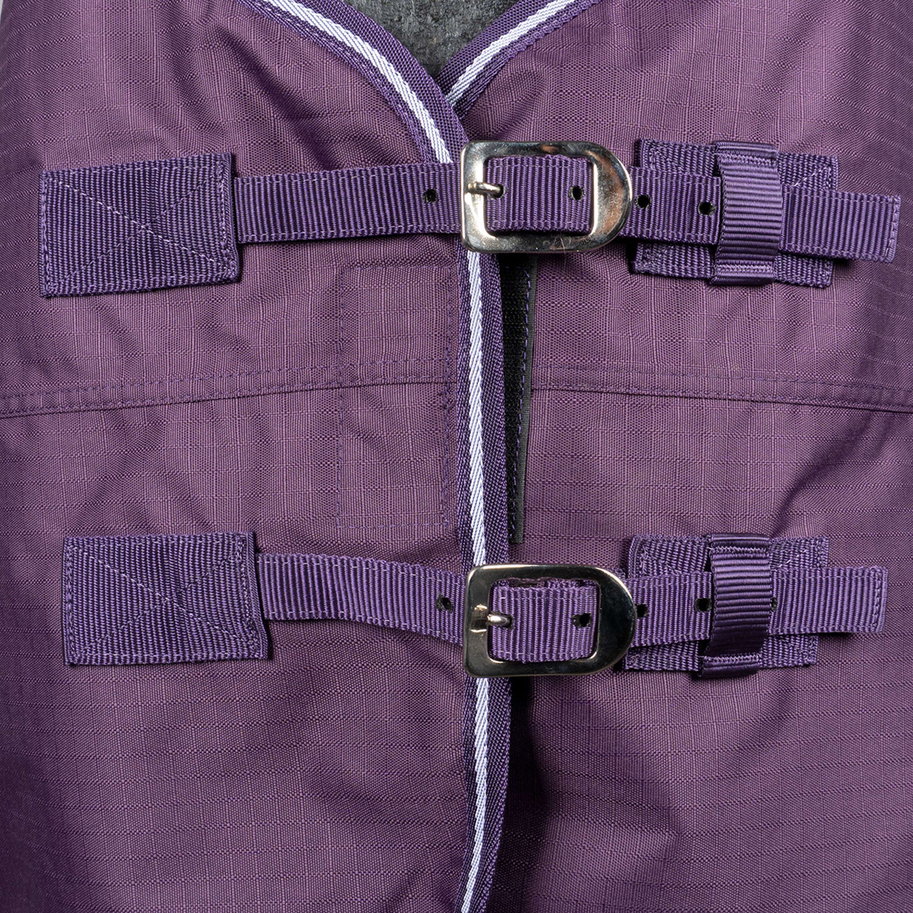 Miniatuur 7