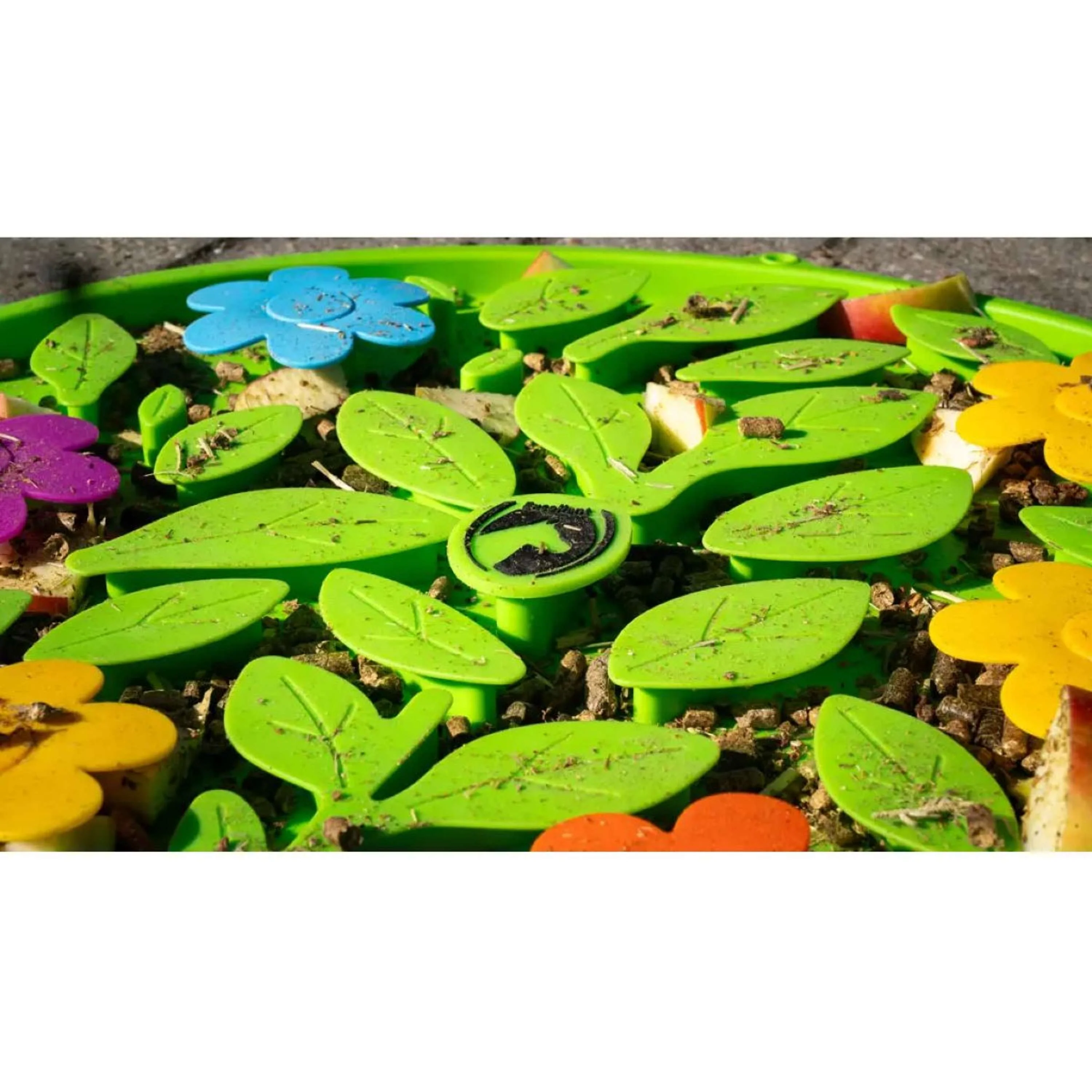 Miniatuur 7