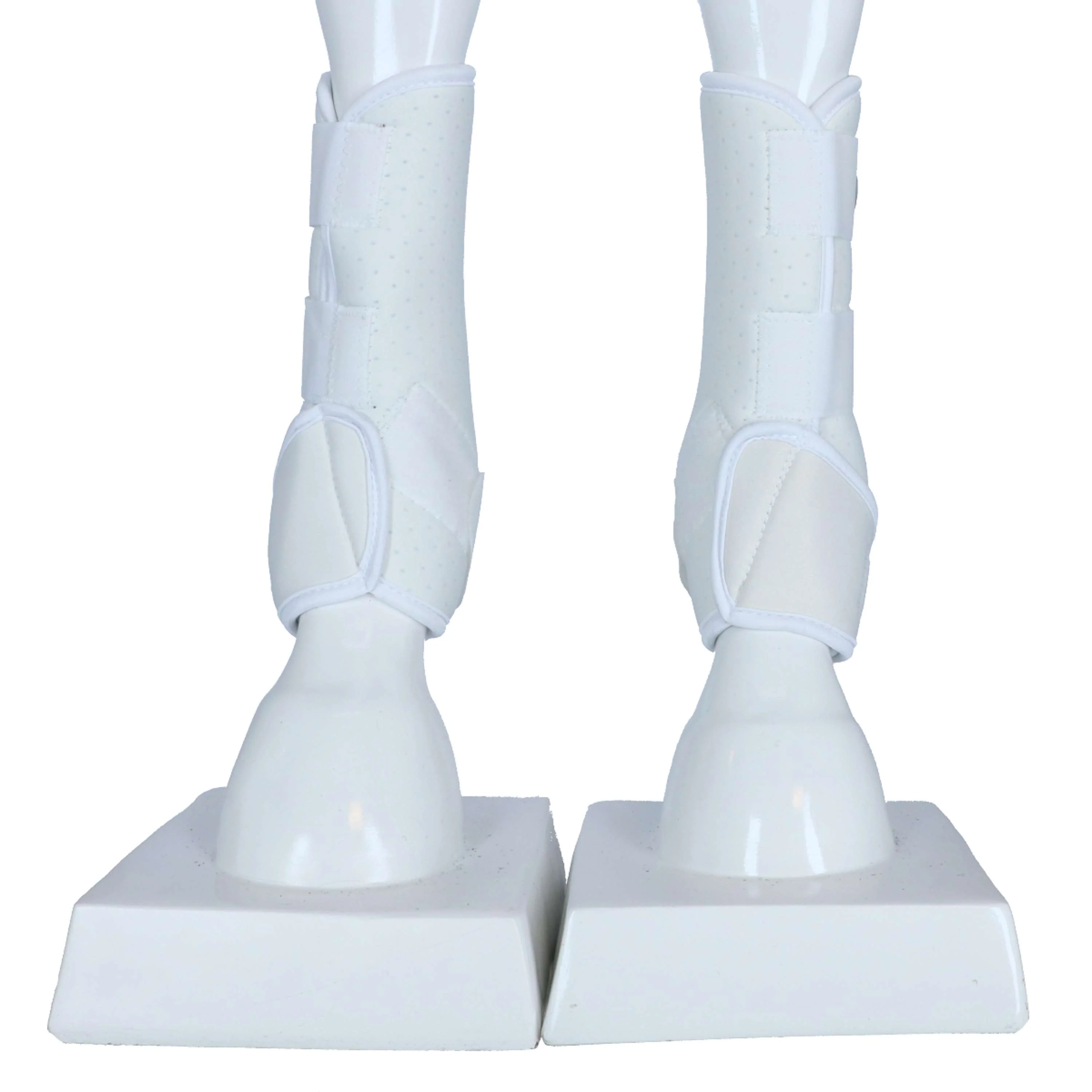 Miniatuur 2