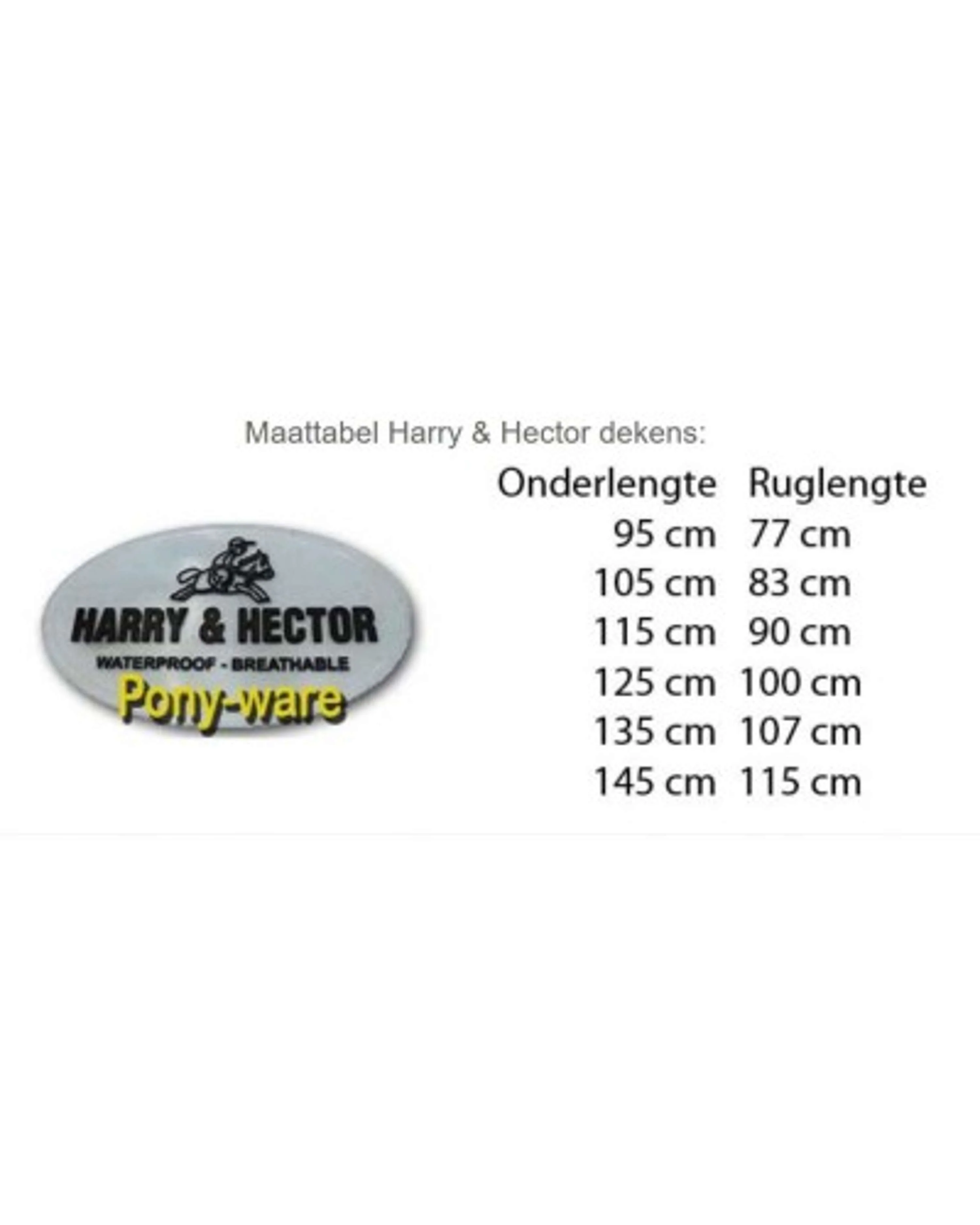 Miniatuur 11