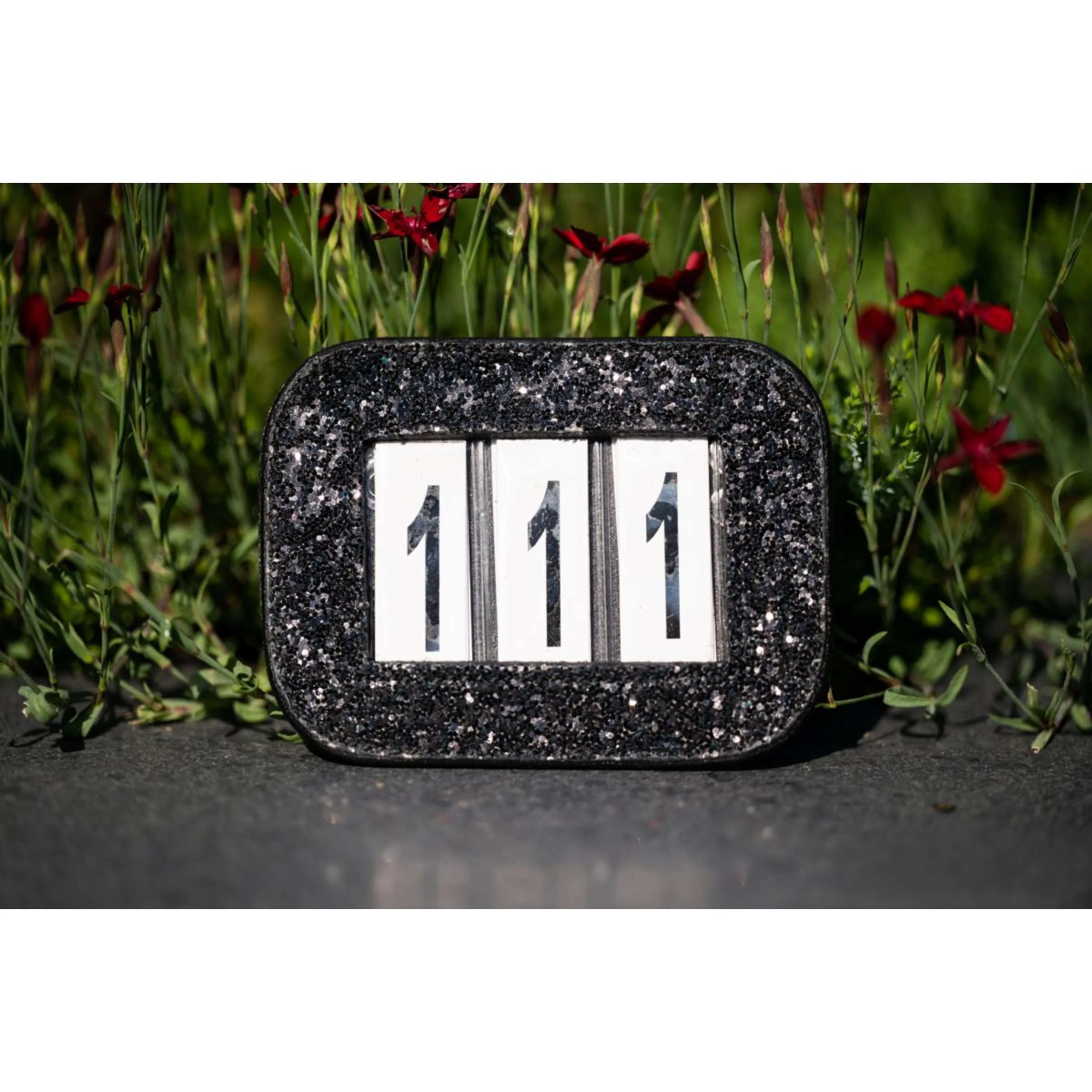 Miniatuur 3