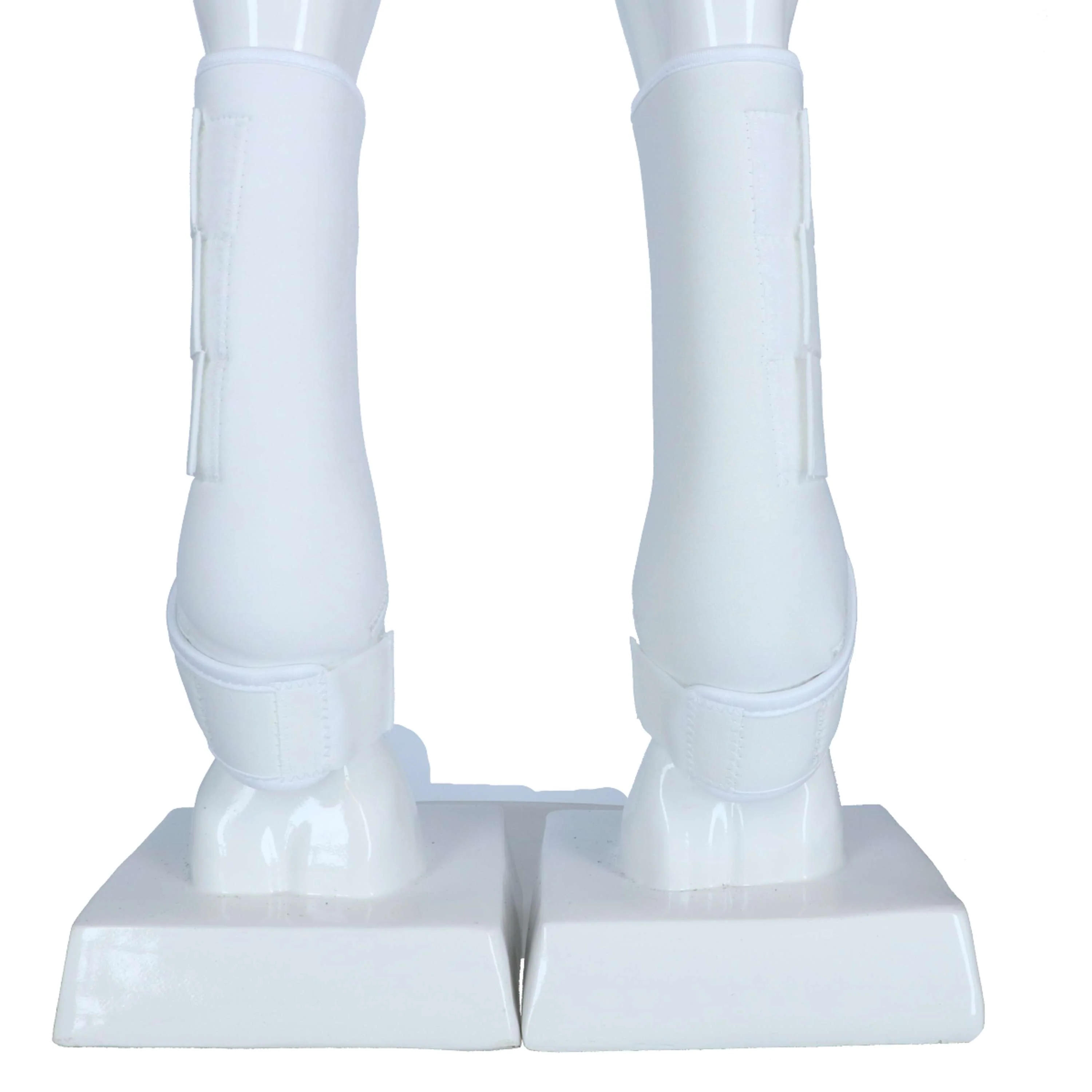 Miniatuur 3