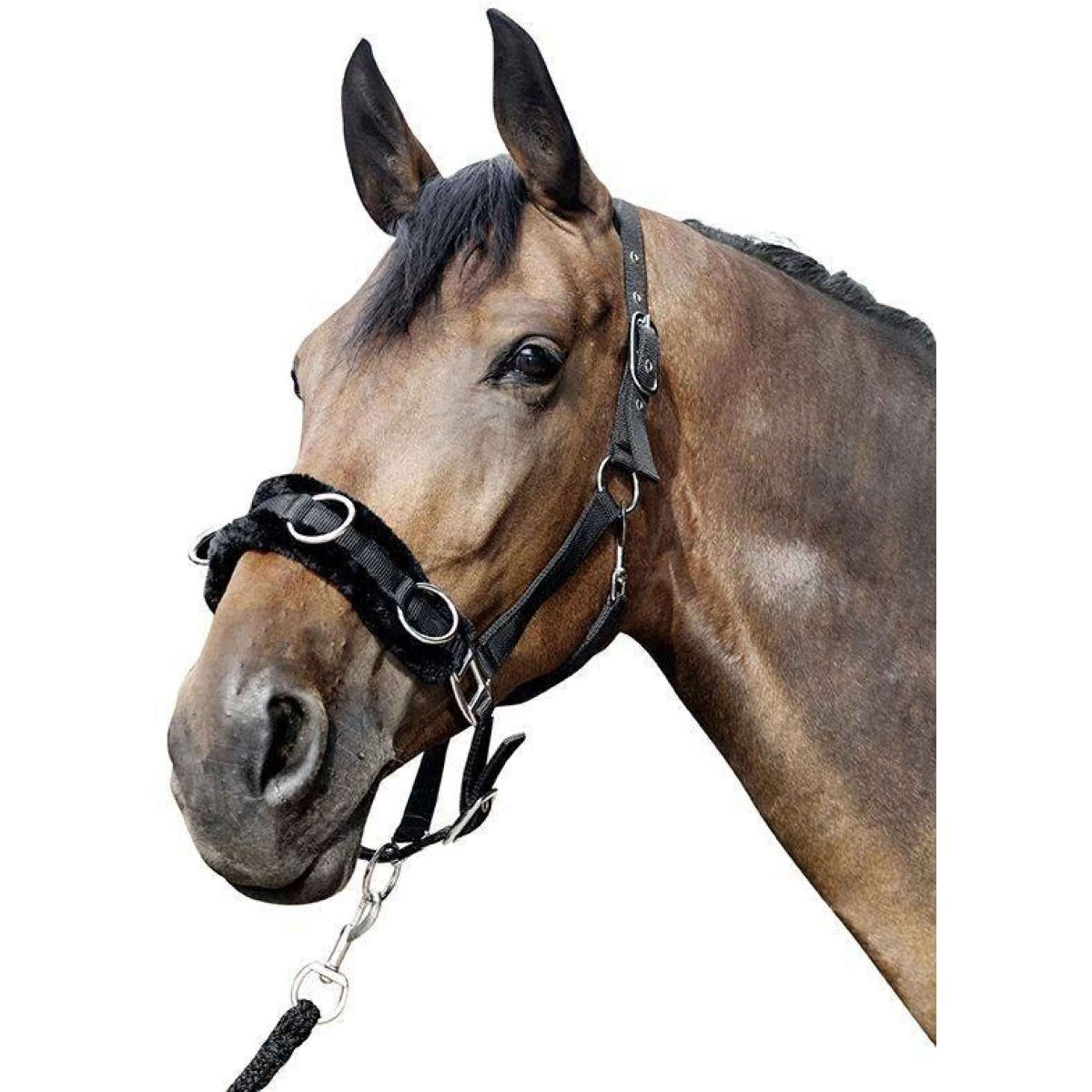 Miniatuur 2
