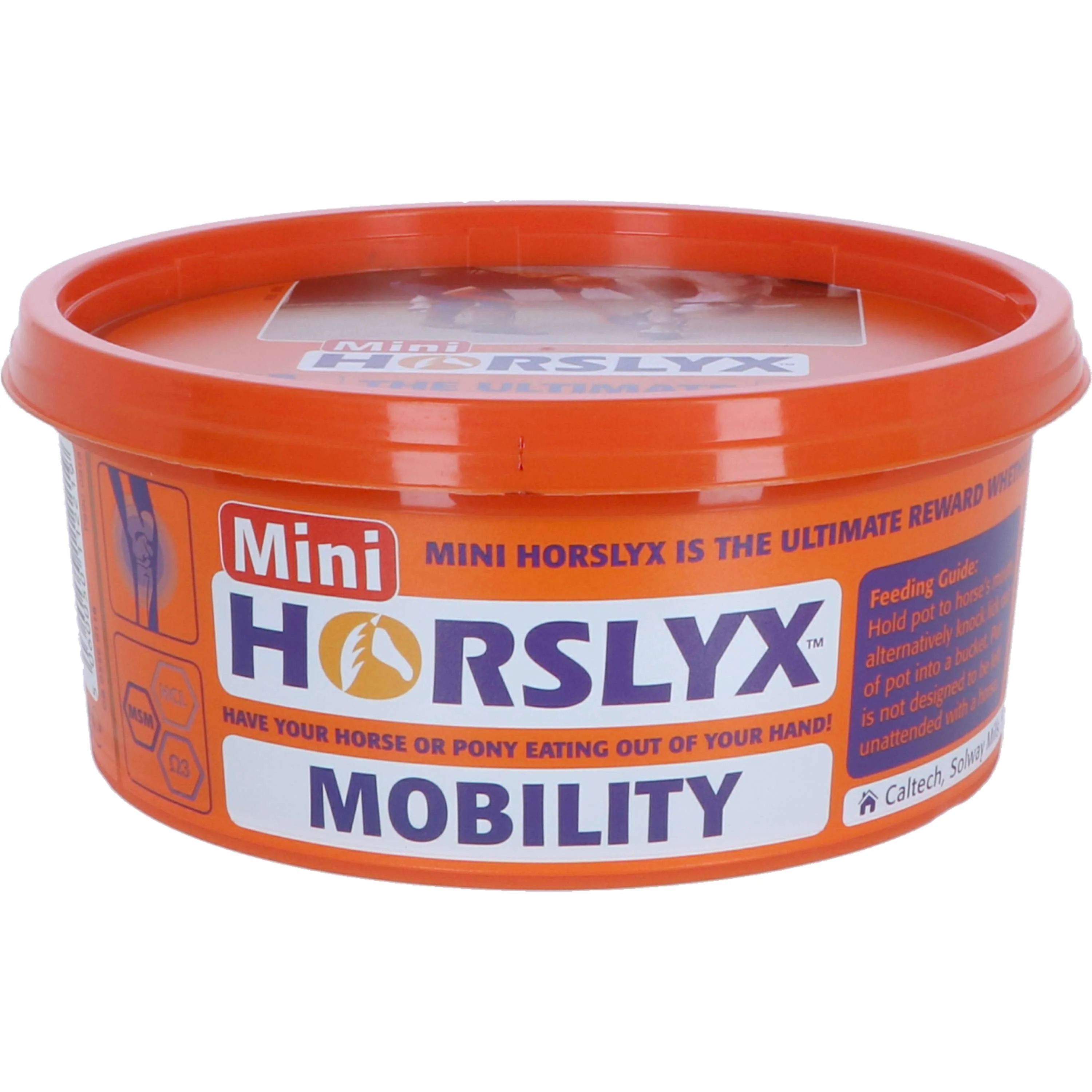 Miniatuur 3