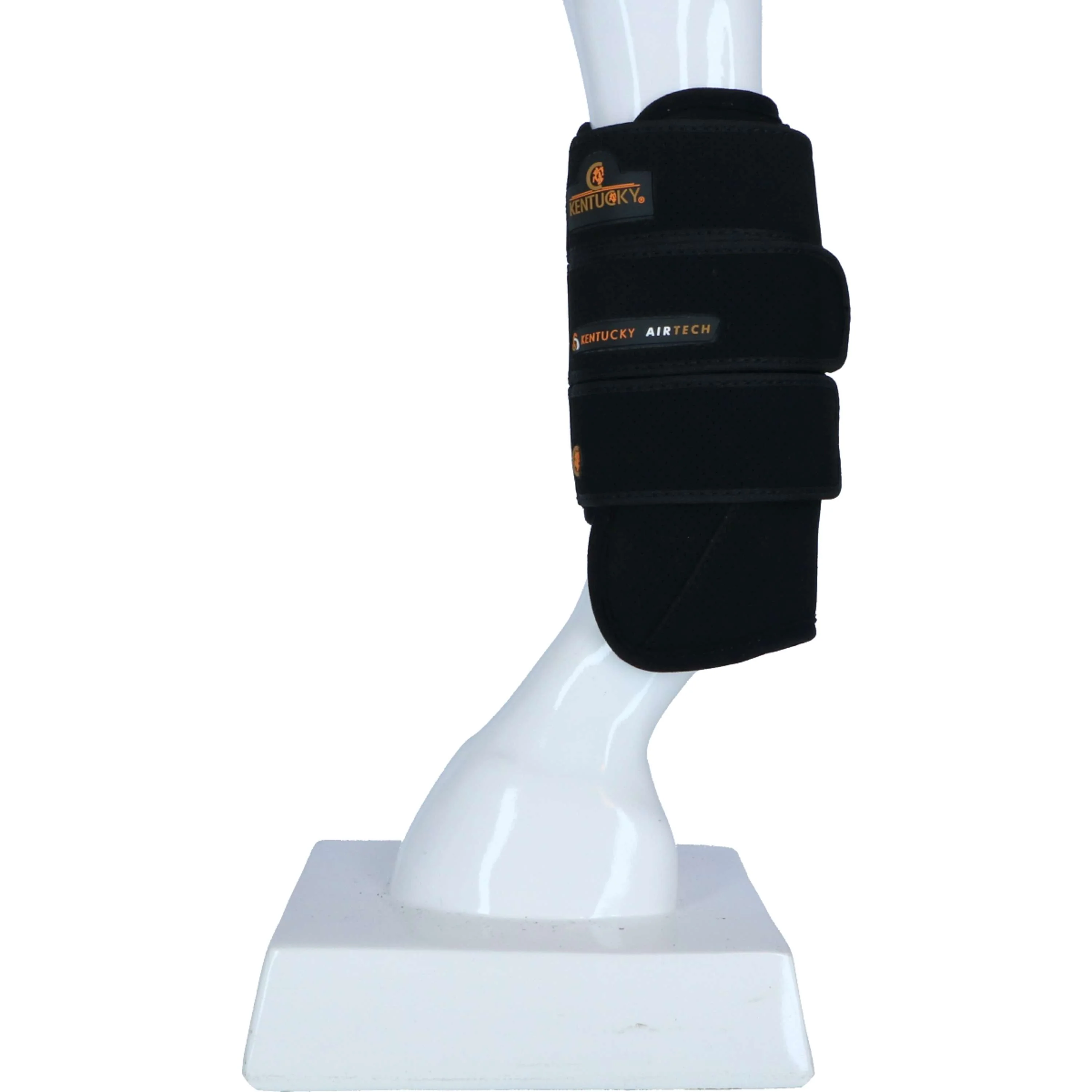 Miniatuur 6