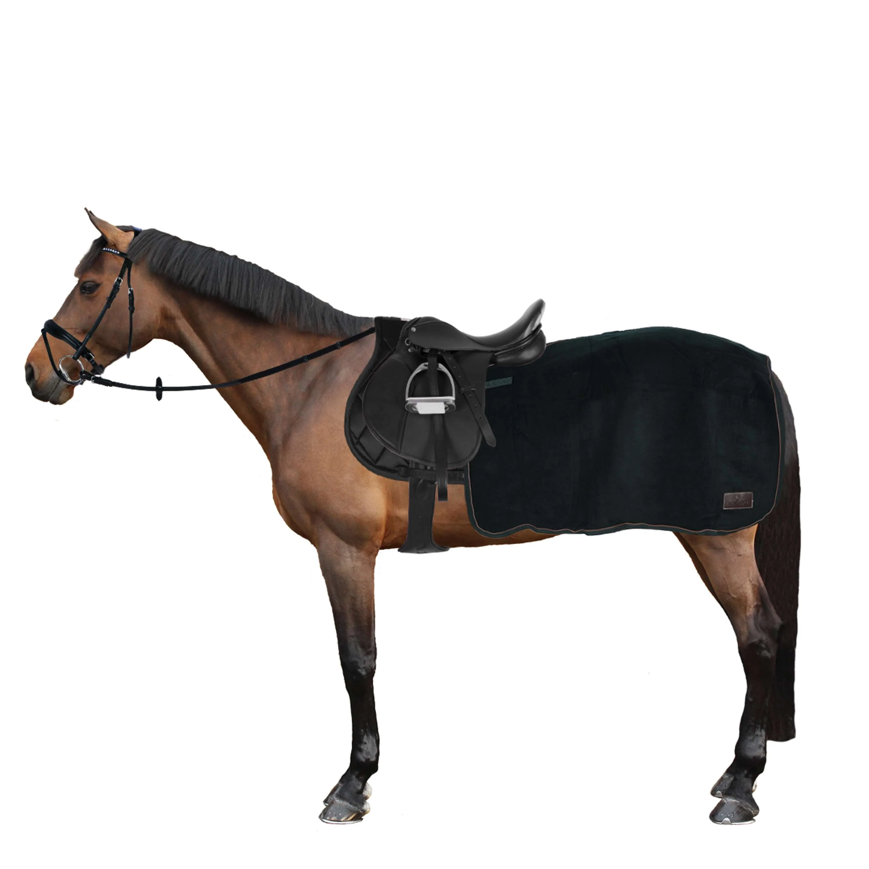 Miniatuur 3