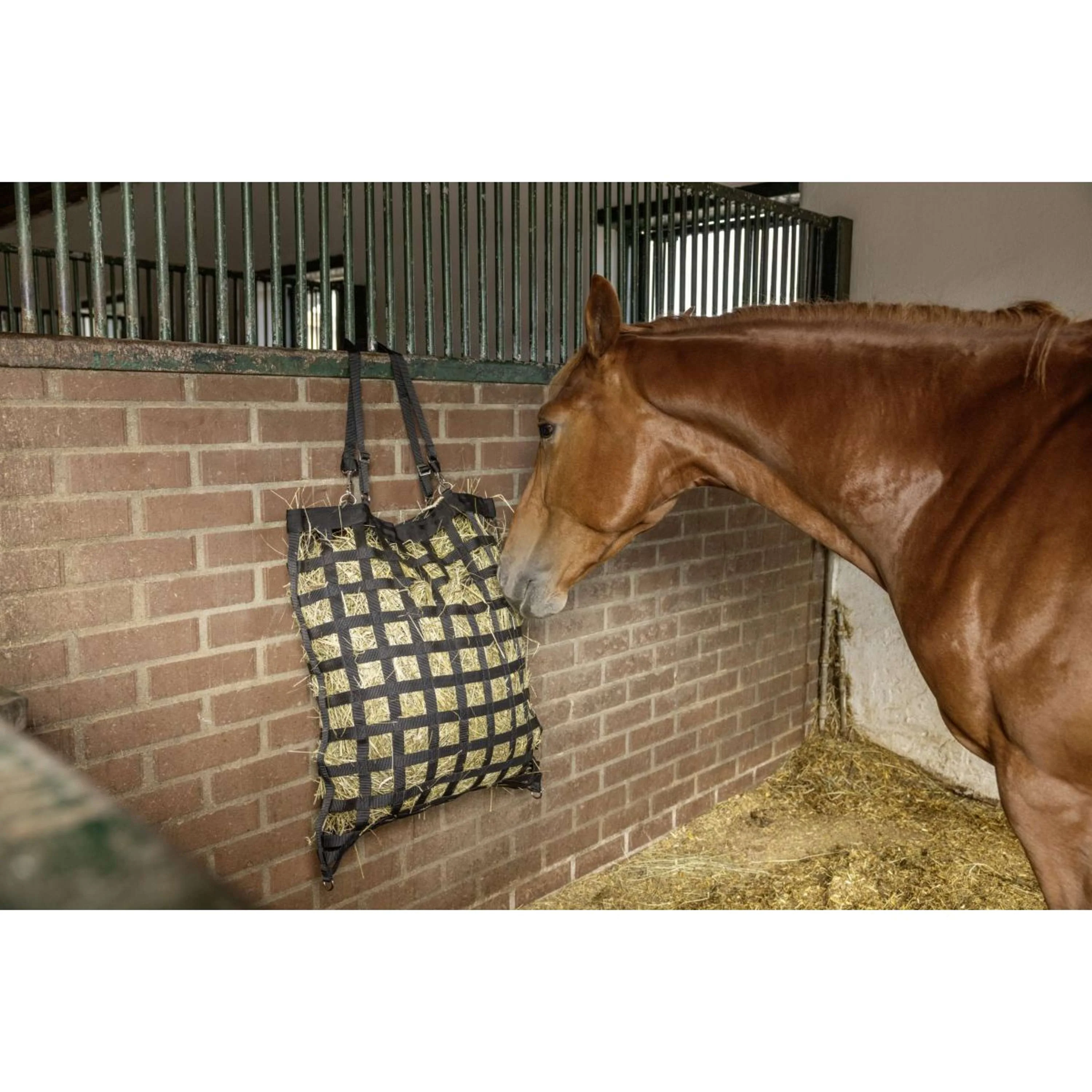 Miniatuur 3