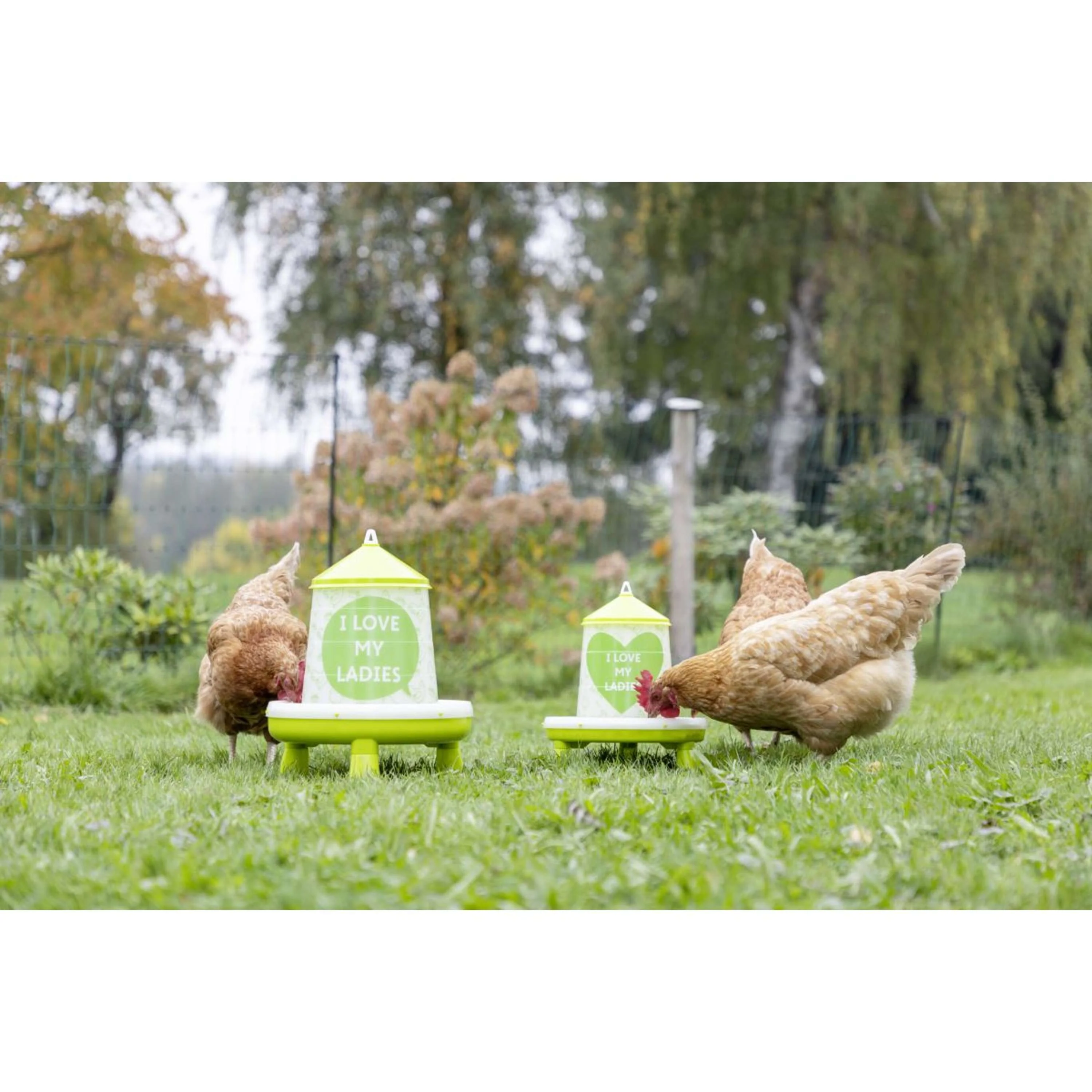 Miniatuur 3