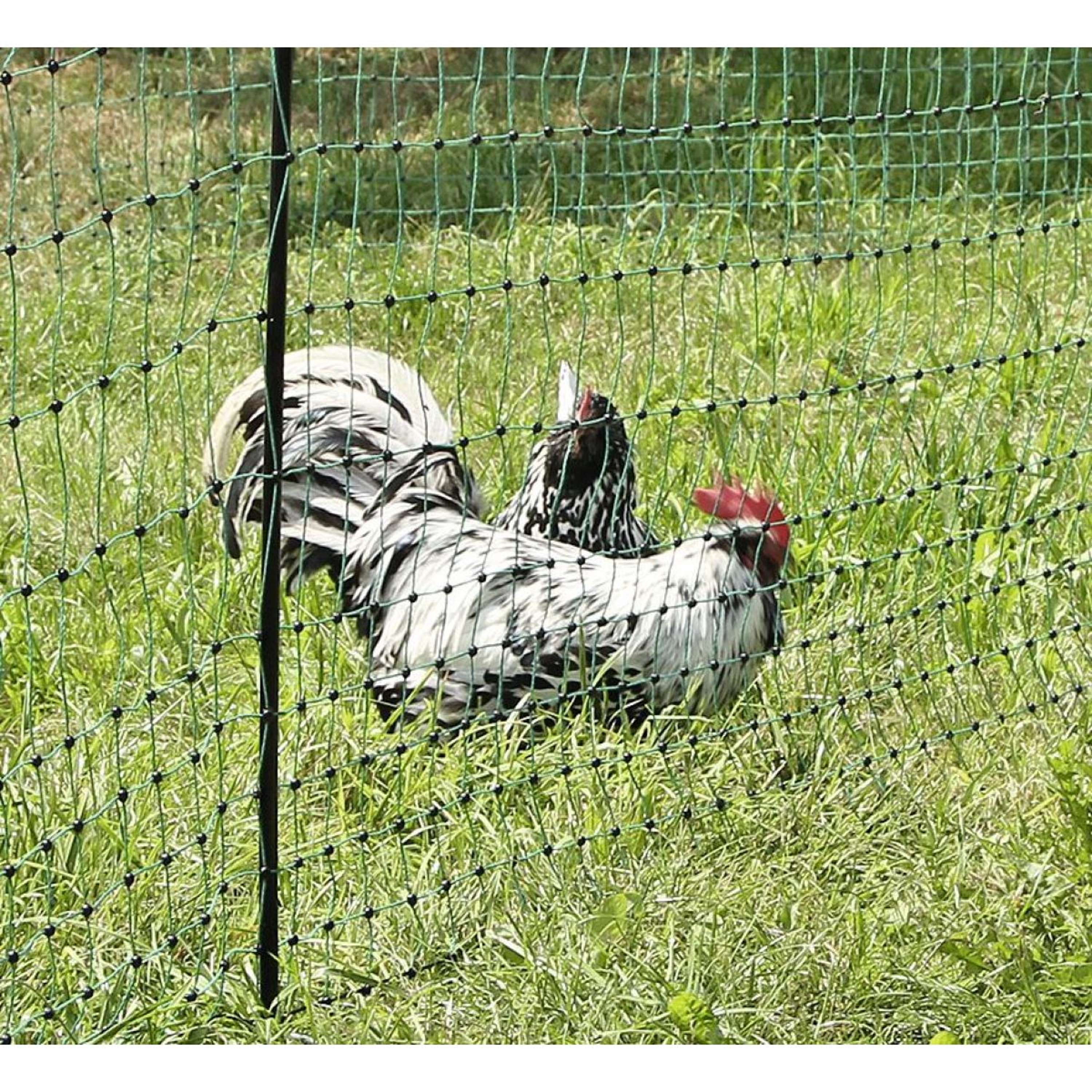 Miniatuur 2
