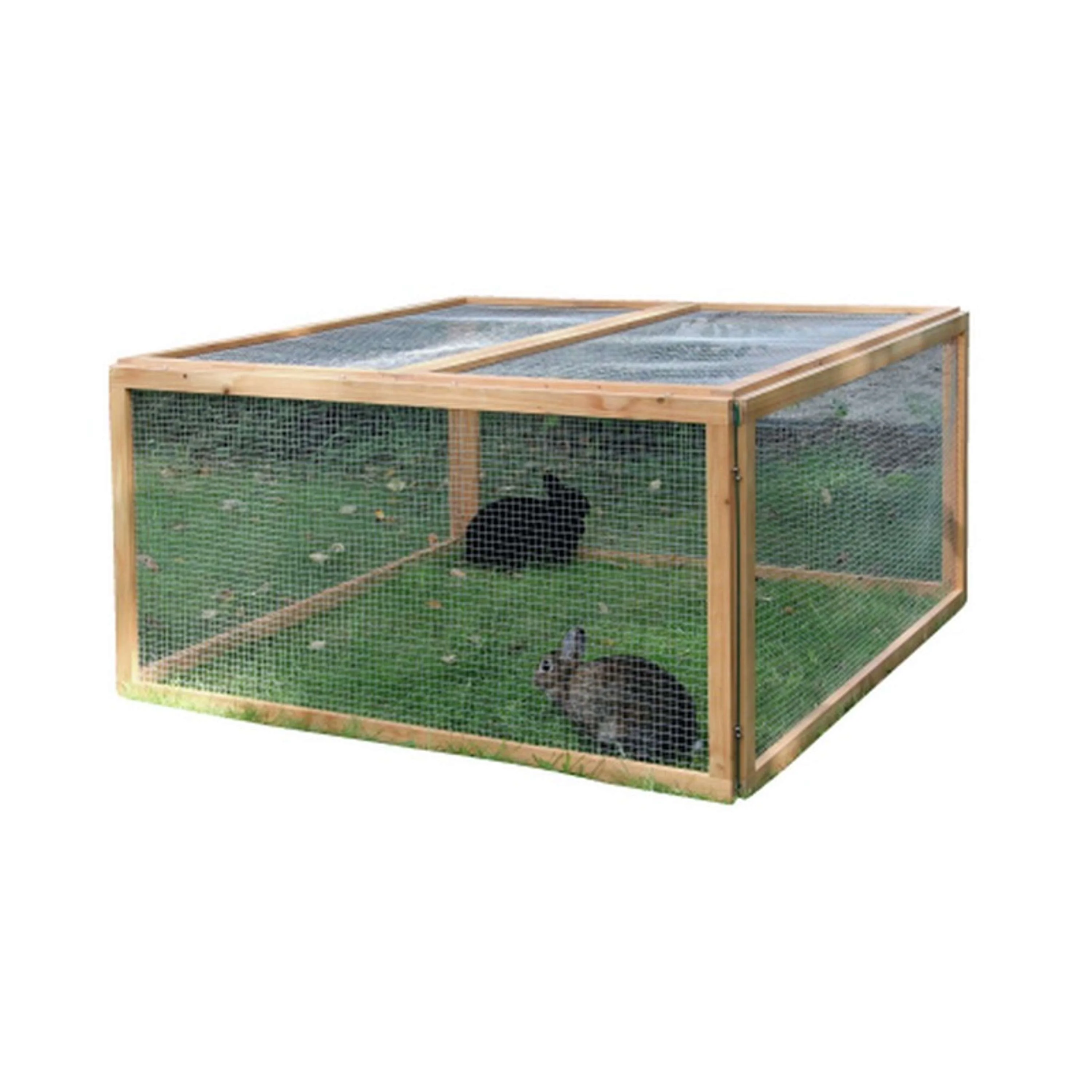 Miniatuur 4