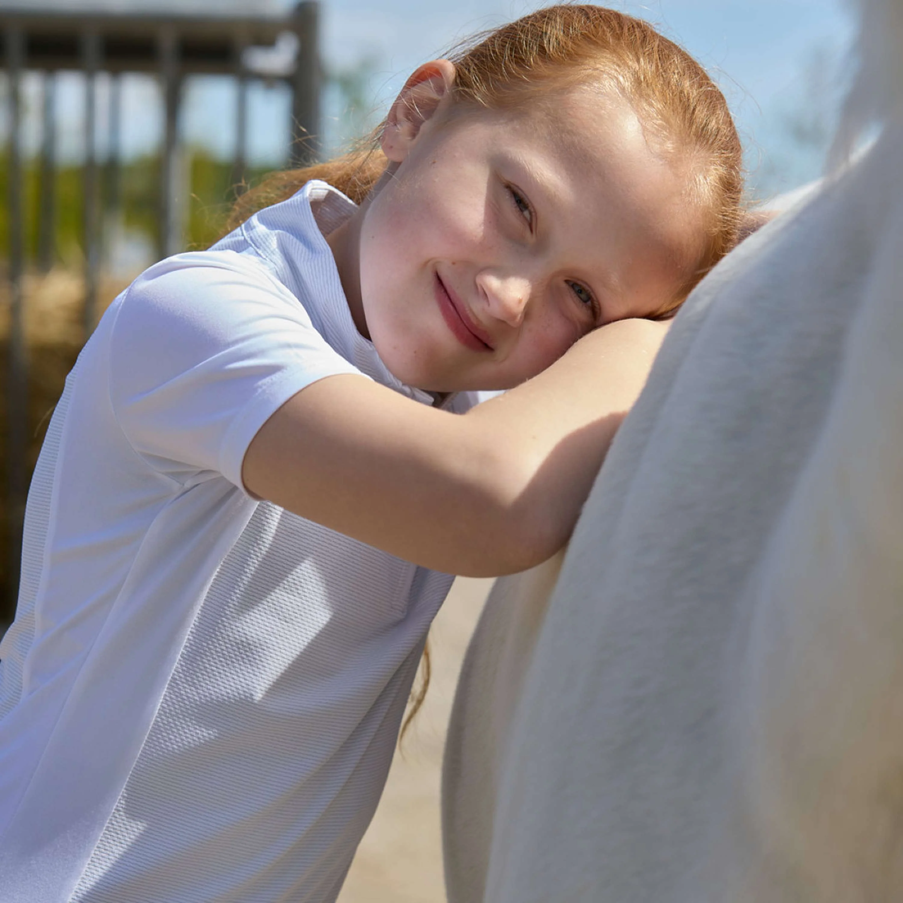 Miniatuur 3
