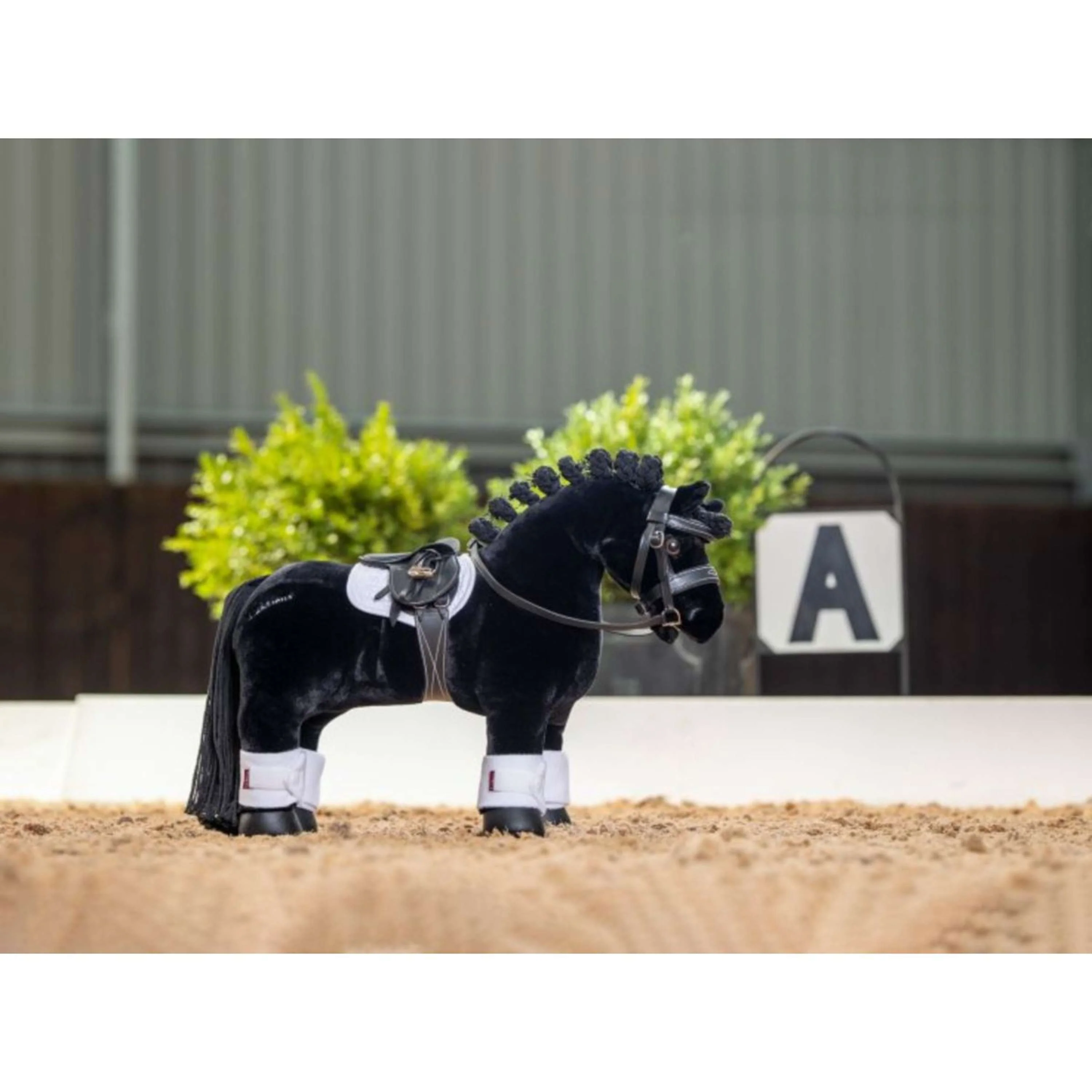 Miniatuur 2