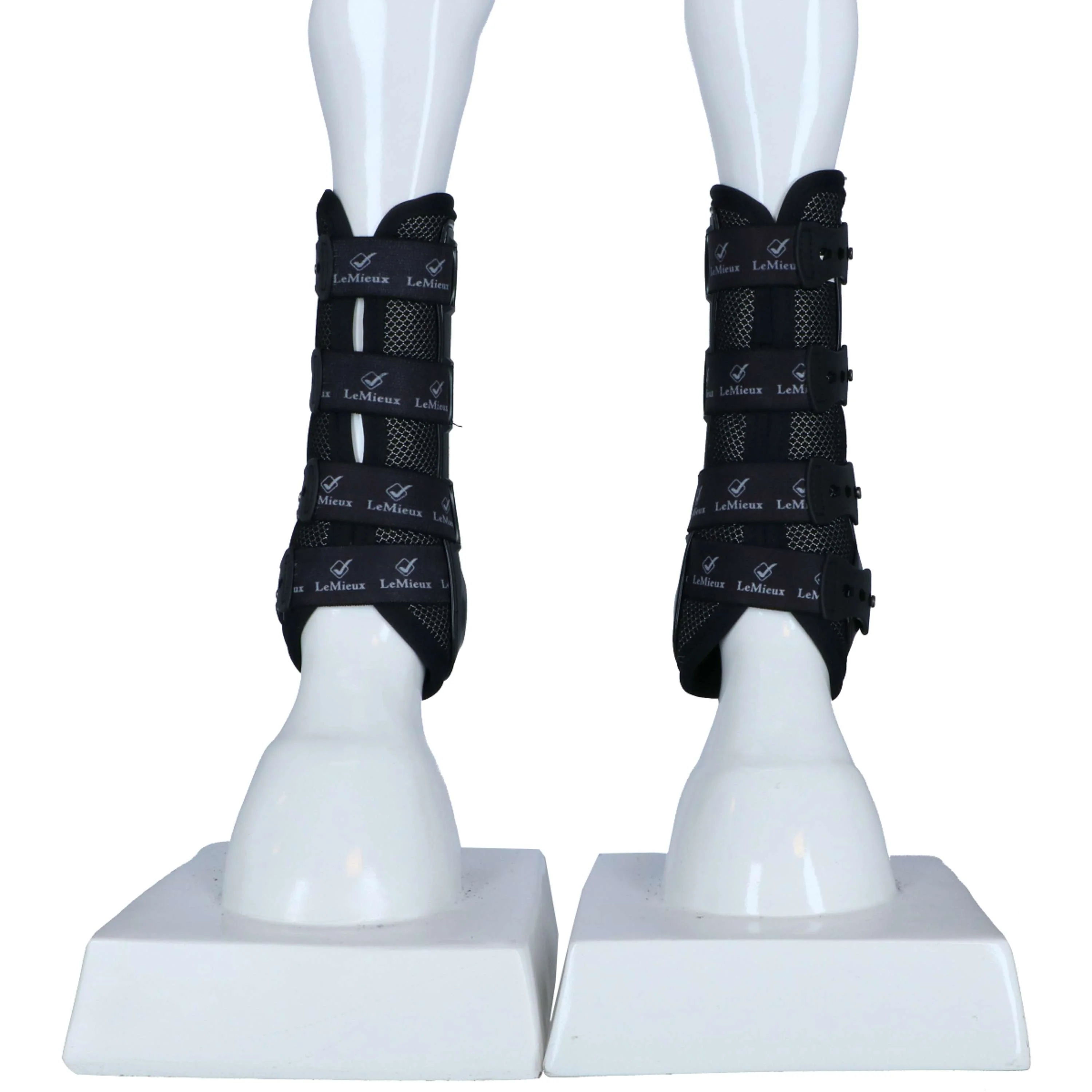 Miniatuur 2