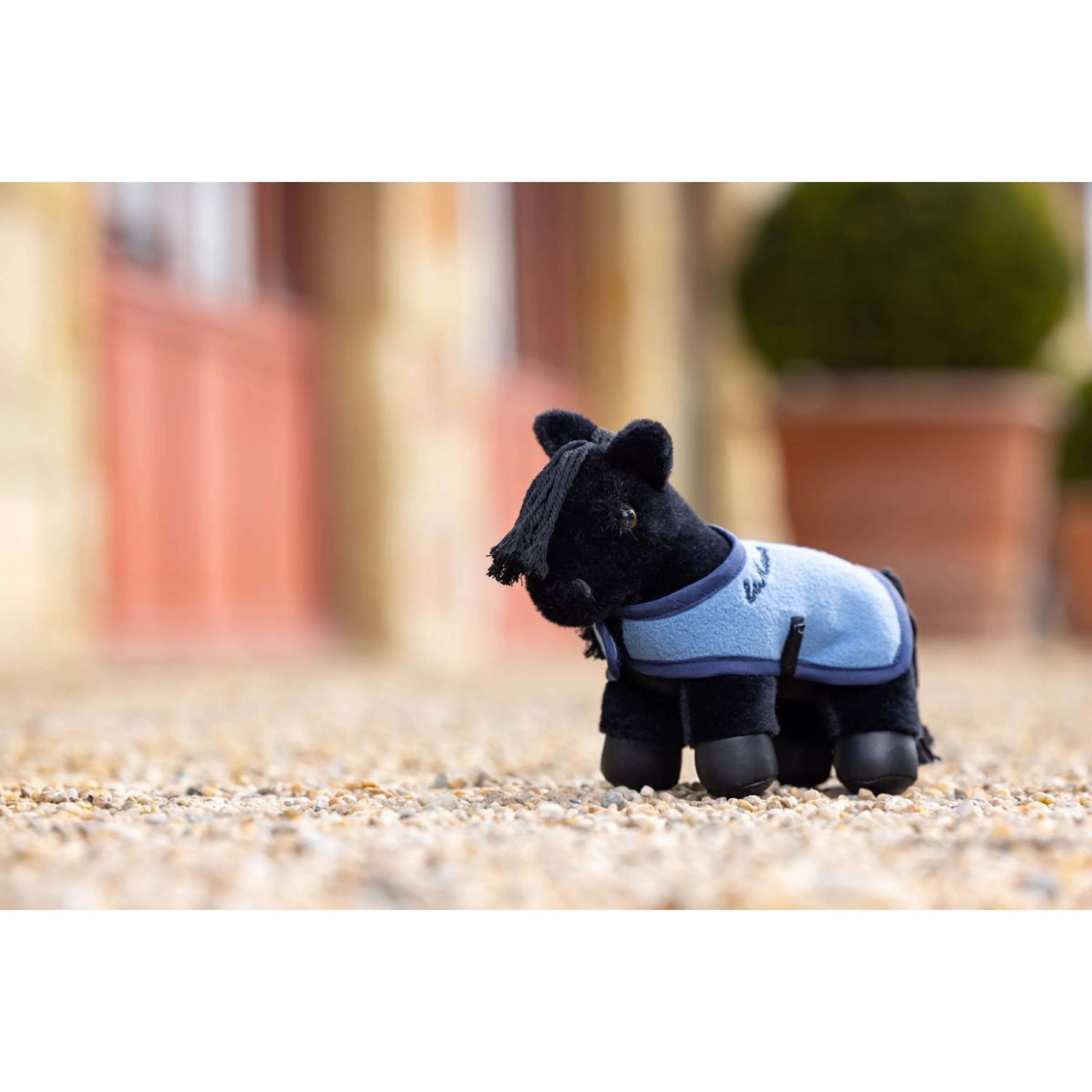 Miniatuur 4