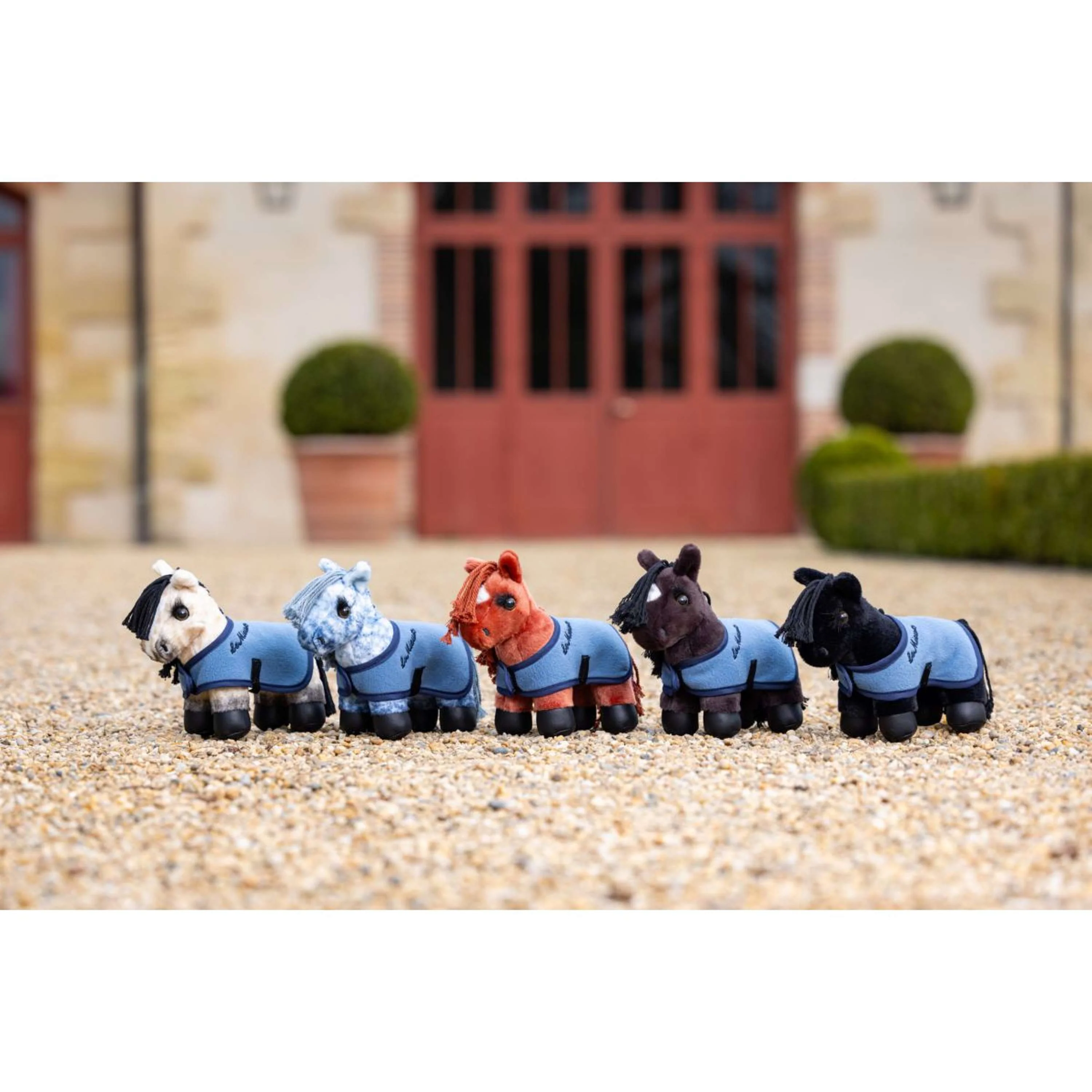 Miniatuur 4