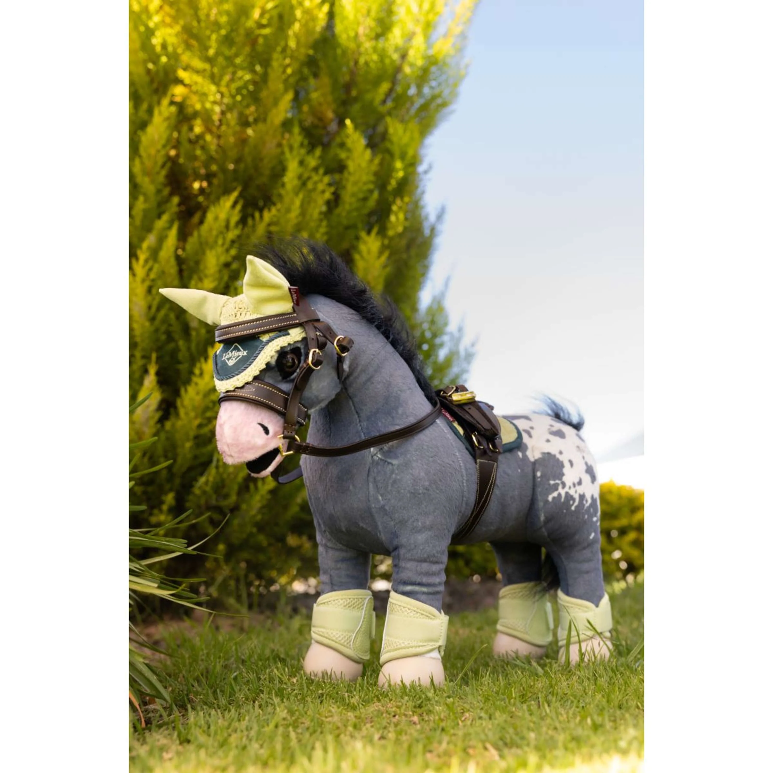Miniatuur 2