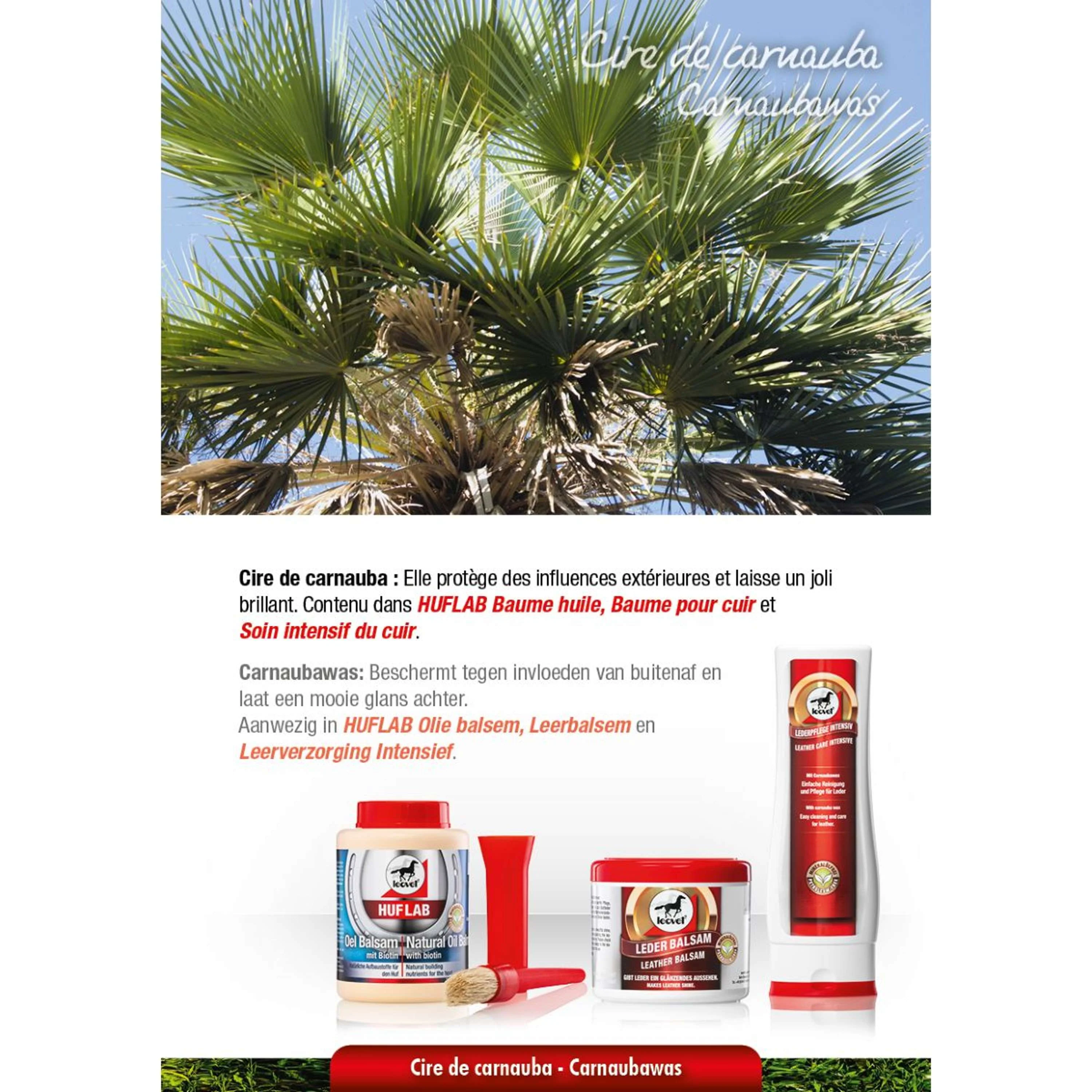 Miniatuur 7