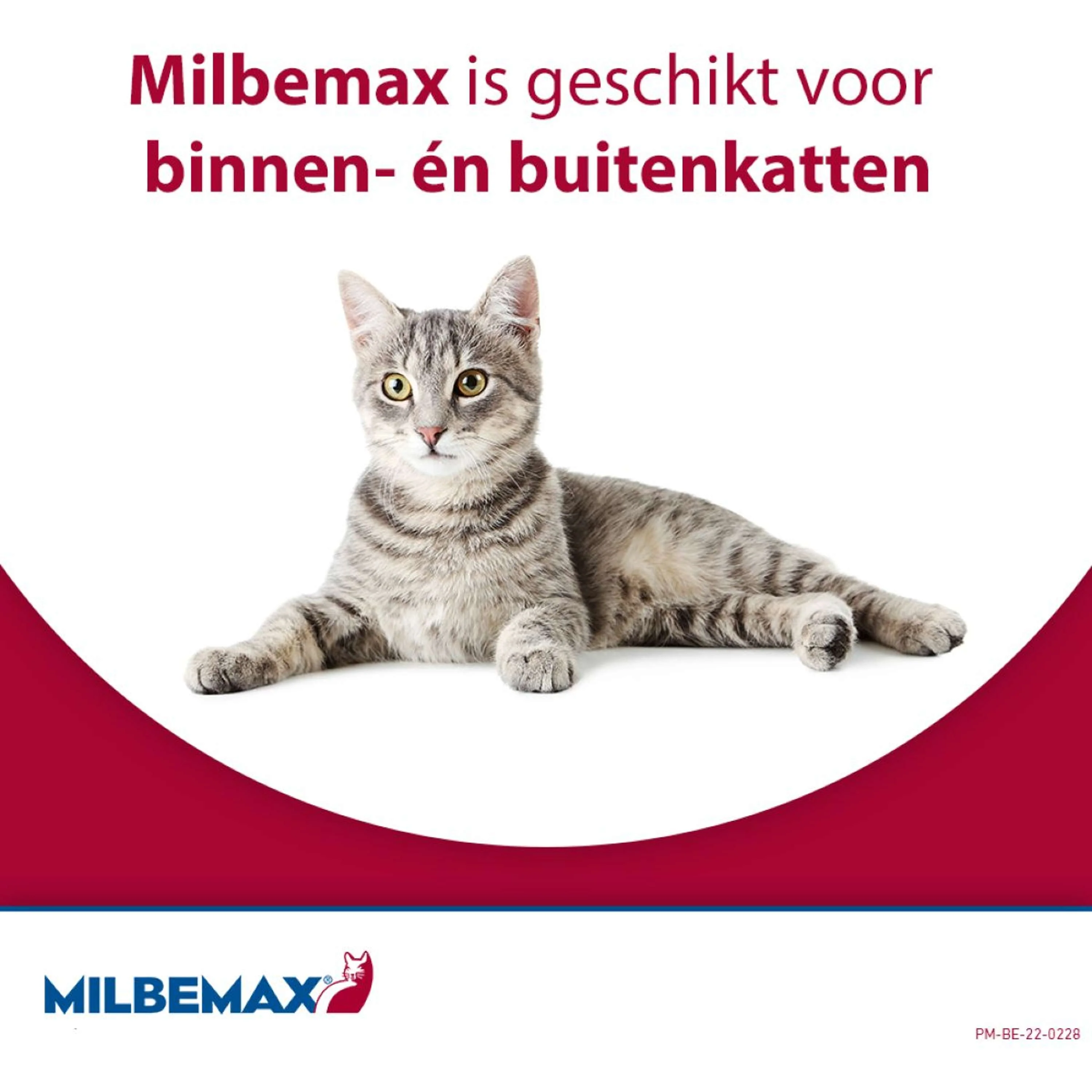 Miniatuur 3
