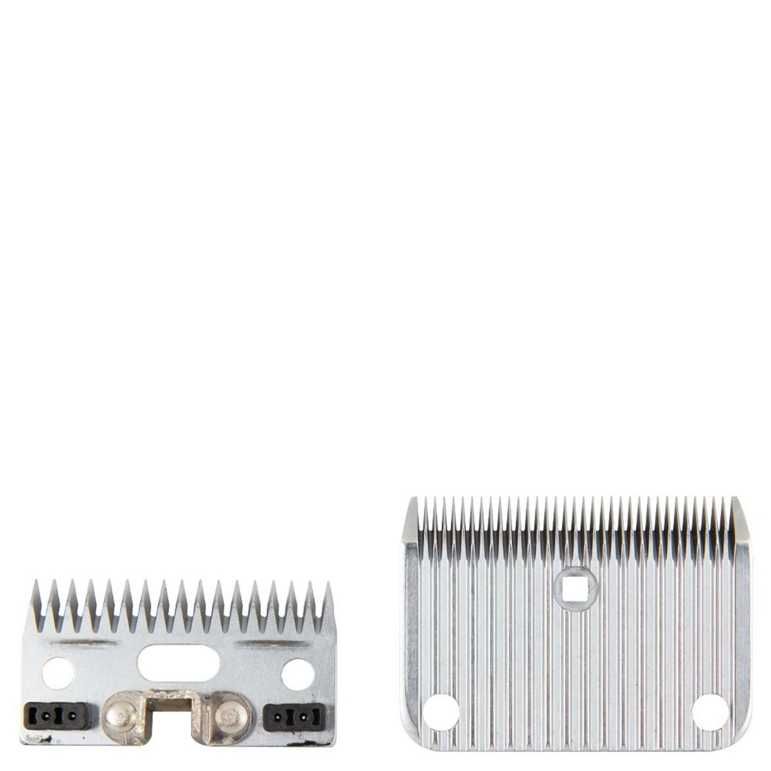 Miniatuur 4