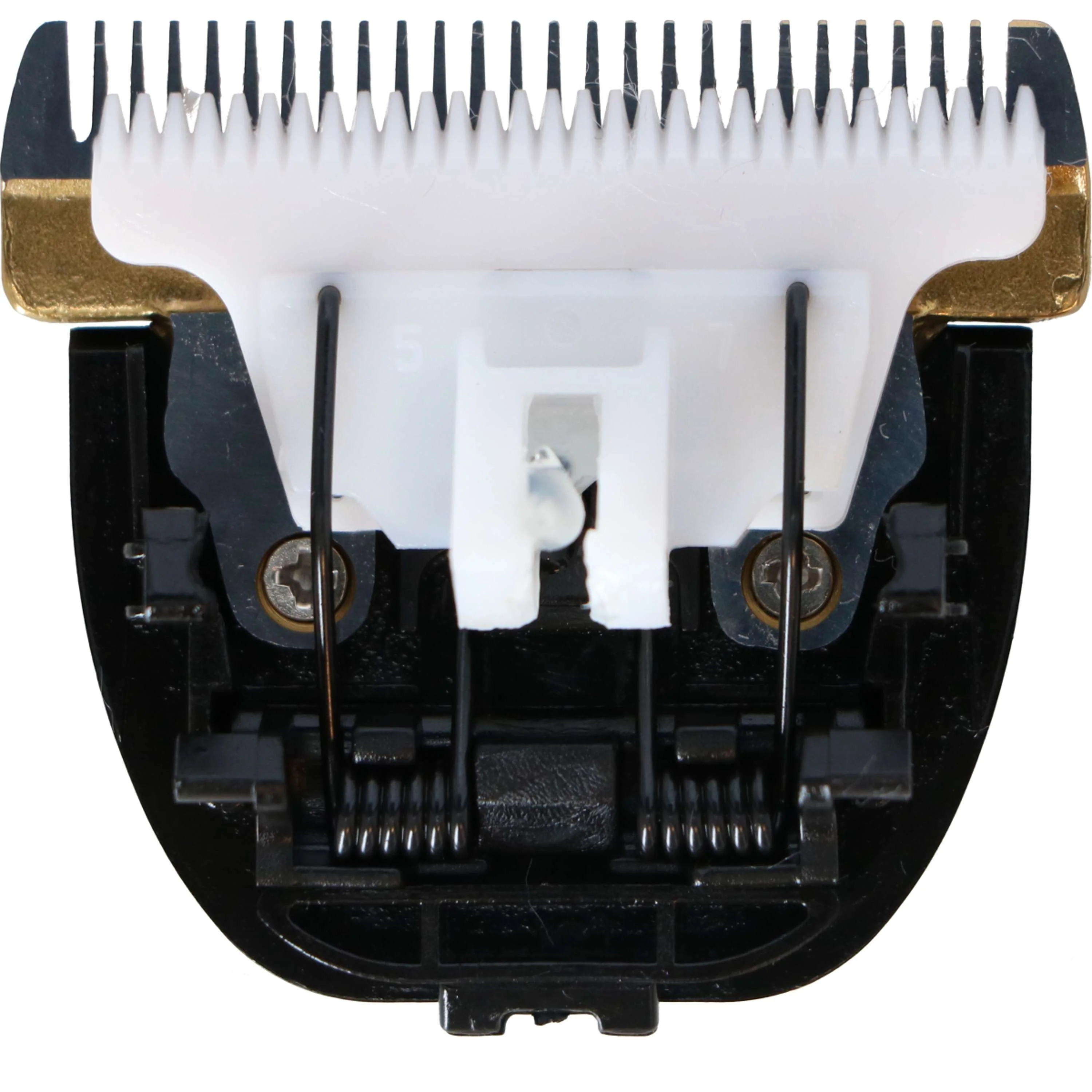 Miniatuur 2