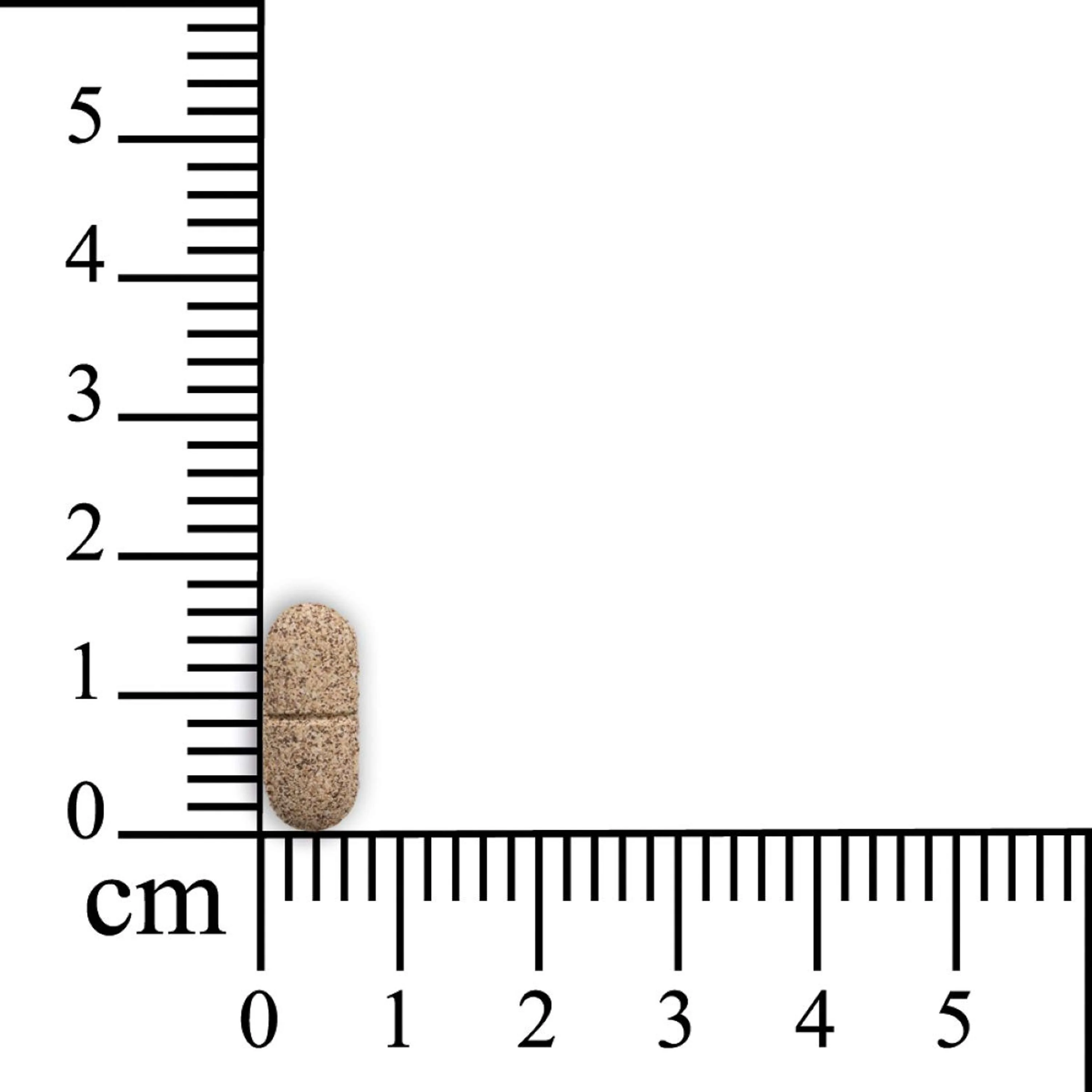 Miniatuur 3