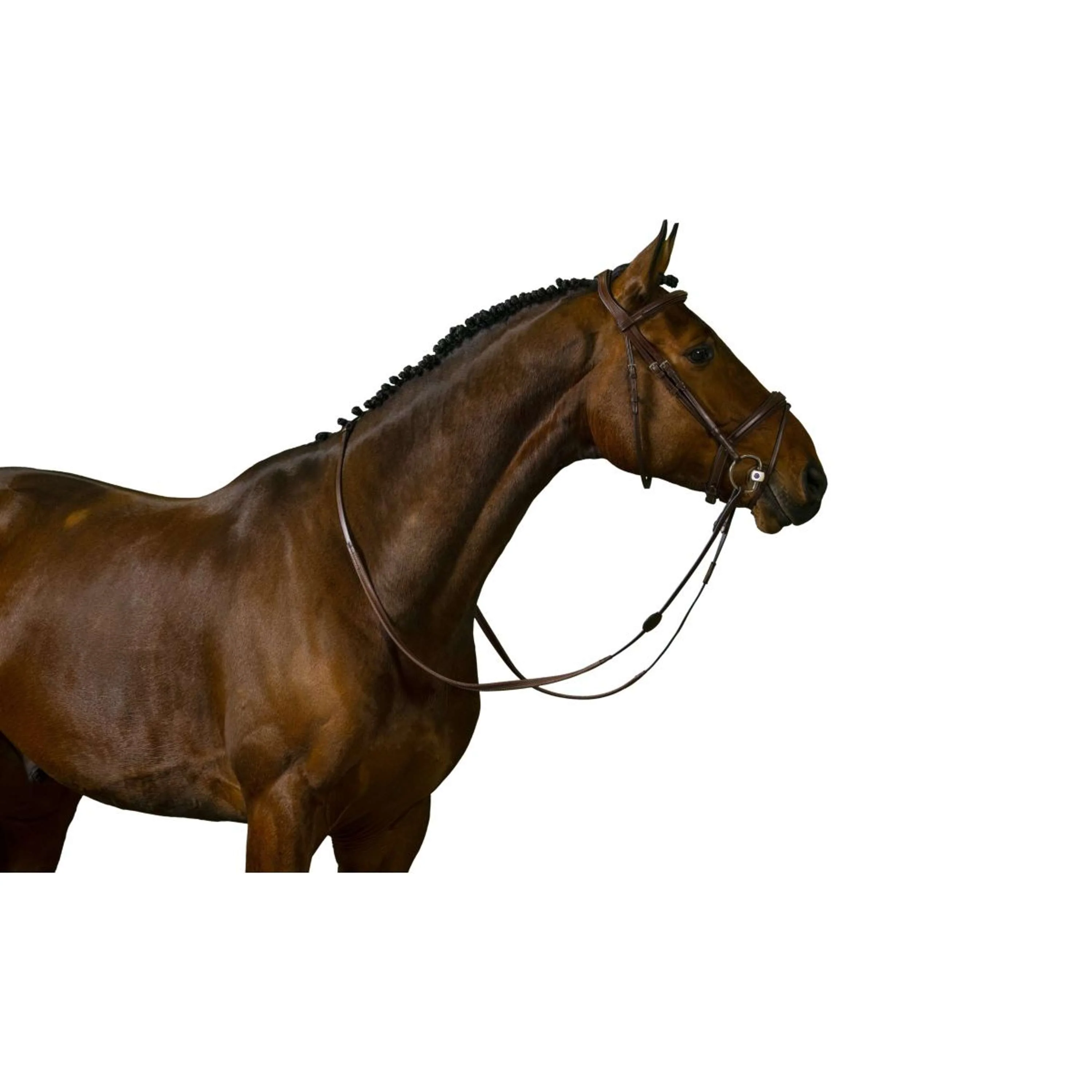 Miniatuur 3