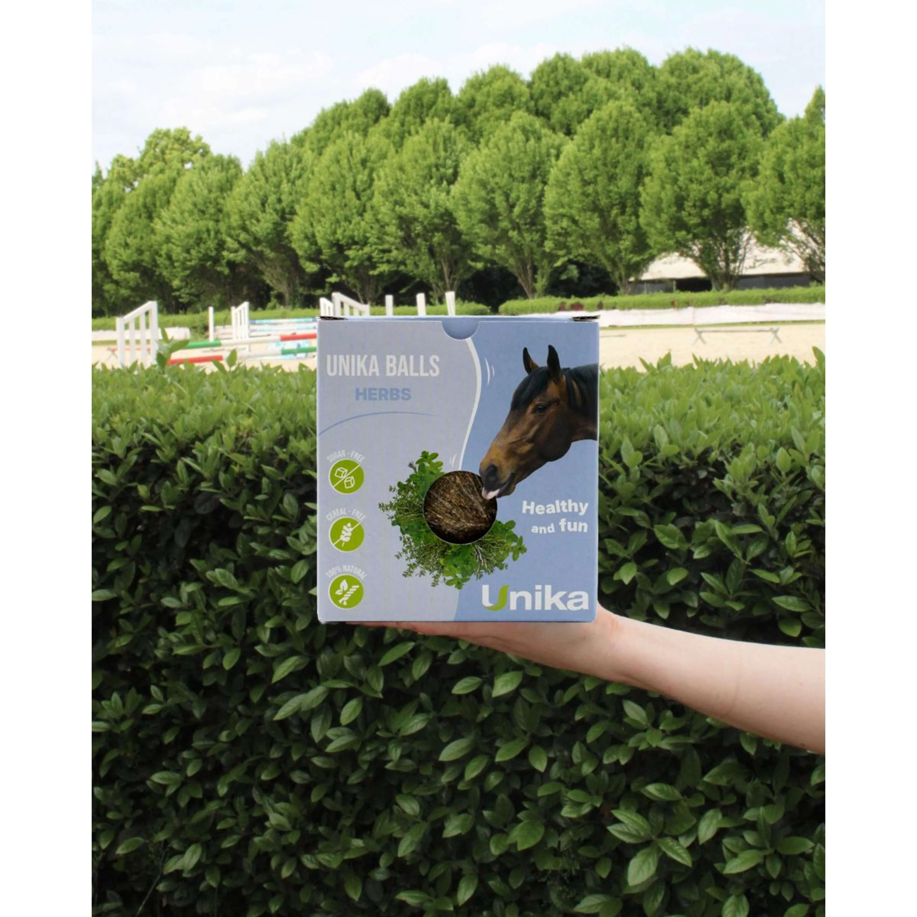 Miniatuur 2