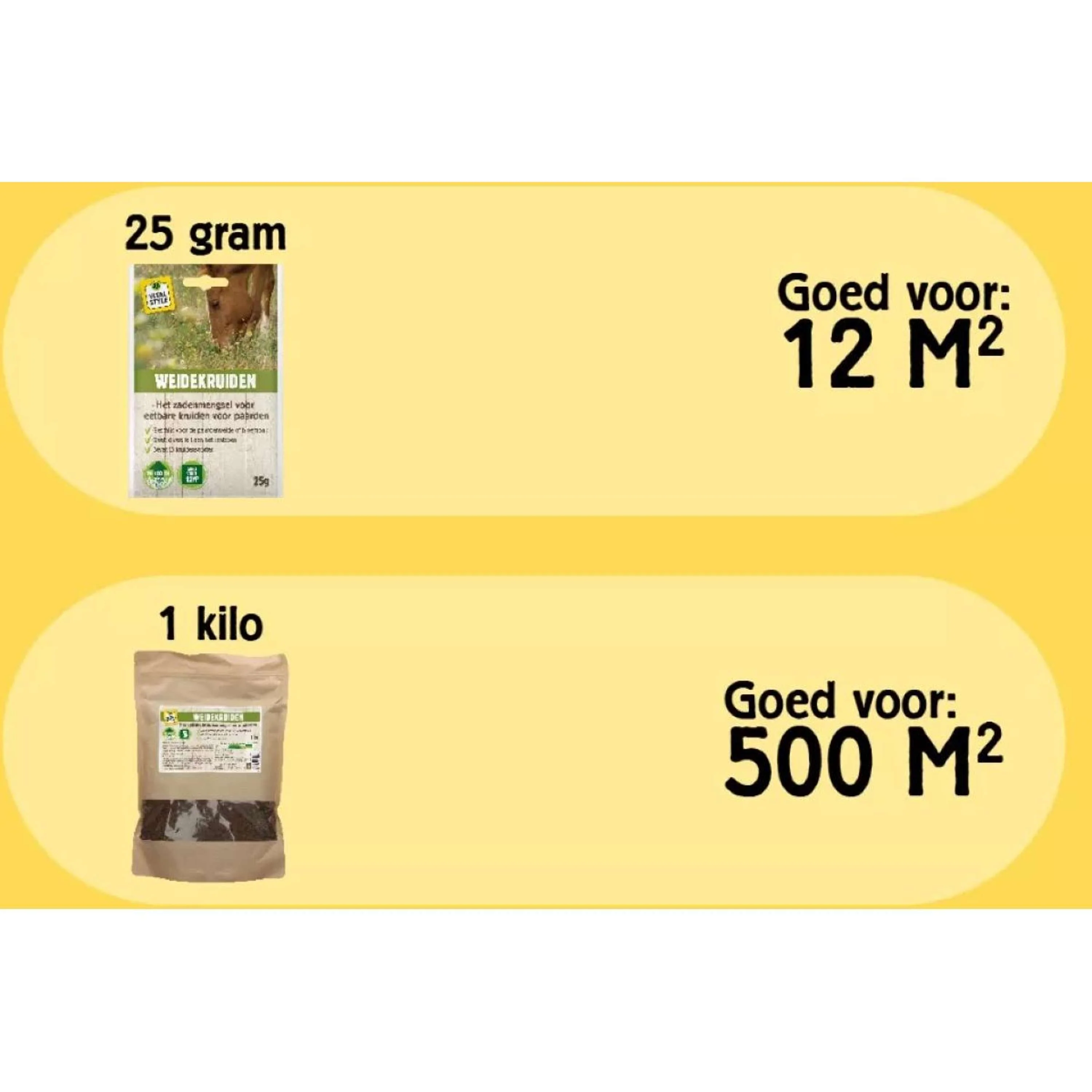 Miniatuur 3
