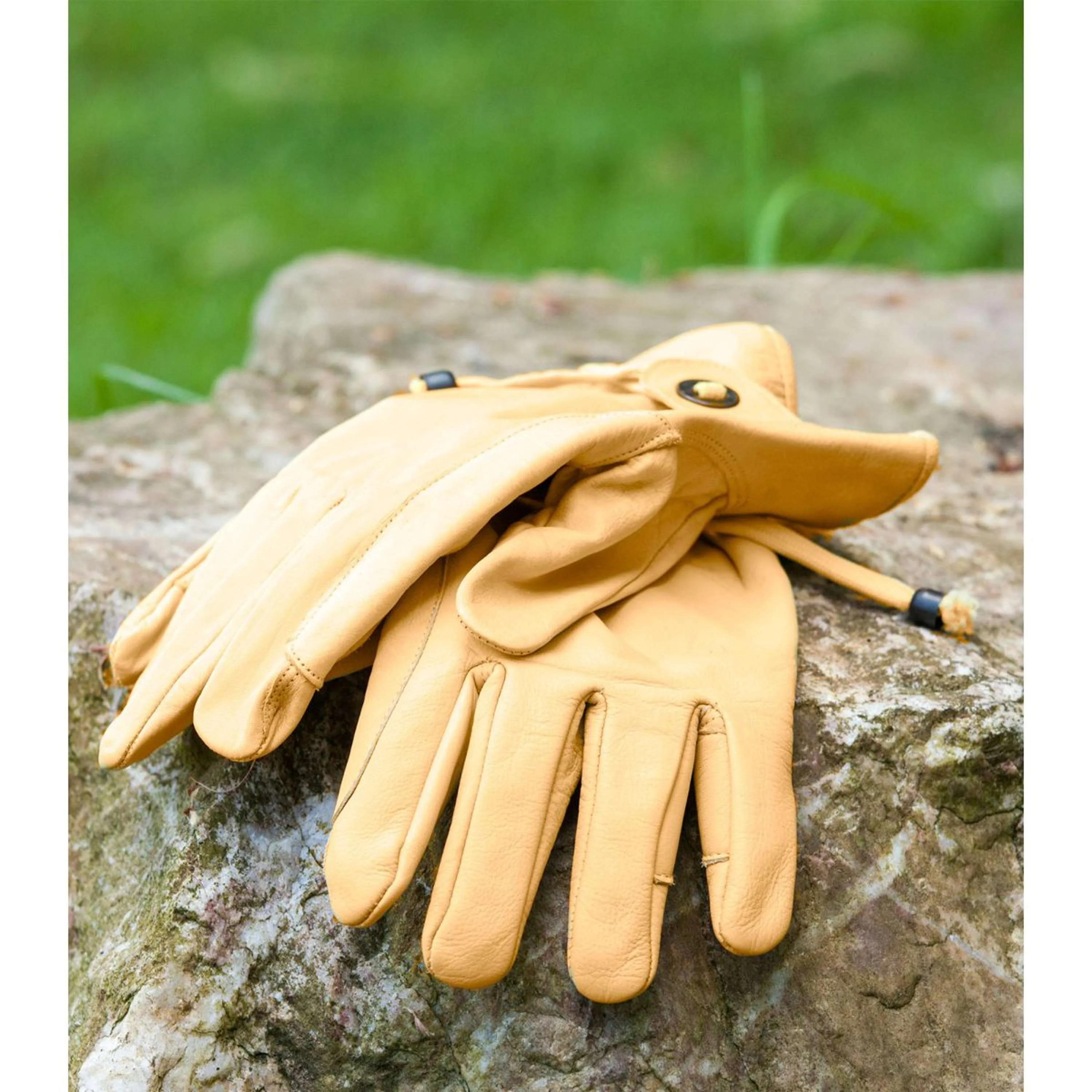 Miniatuur 3